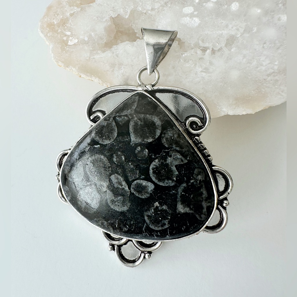 Black Fossil Pendant